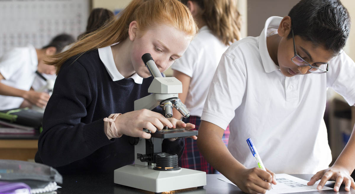 Picture of Students working with a microscope